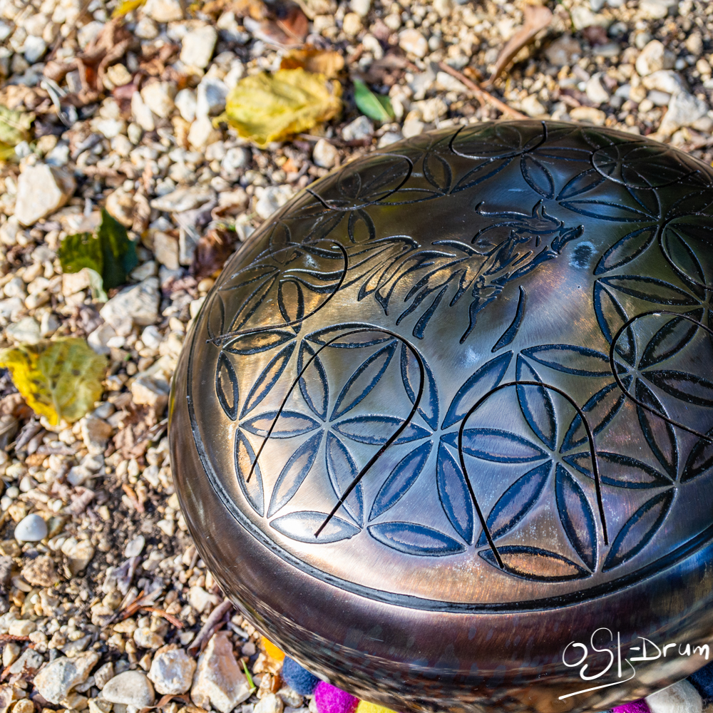 Cheval de vie, force et équilibre en Sol 432hz