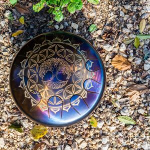 Arbre de vie et fleur de vie, Double La douceur 432 hz